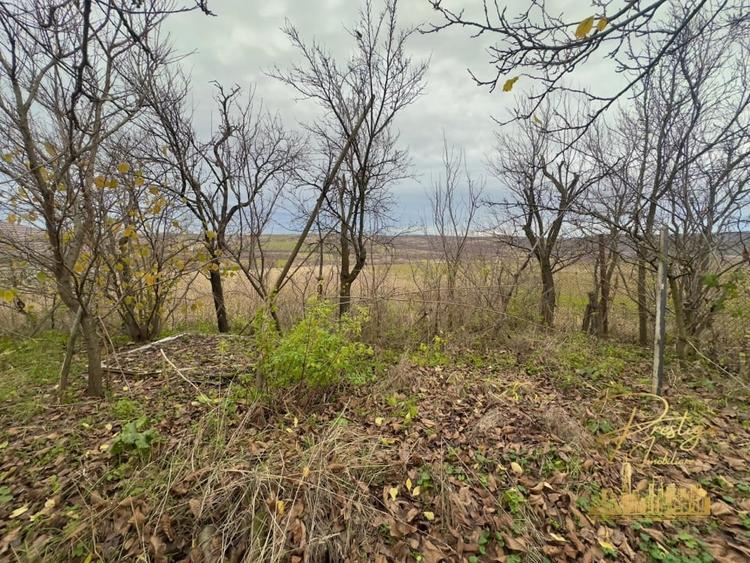 Casa P+M si teren de 1200 mp de vanzare in Uileacu de Munte - Bihor - 25