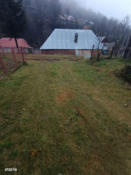 Casa , 3 camere, curte mare, lini?te,pre? negociabil - 10