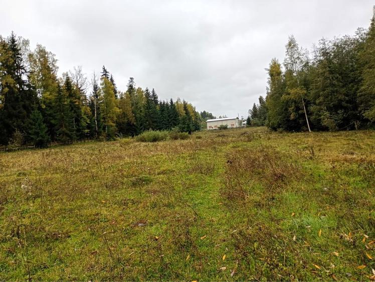 Teren in Neagra Sarului - 1