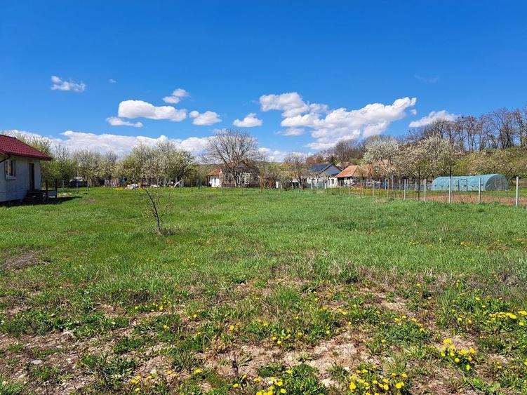 Comision 0% ! Teren intravilan ideal pentru construire casa in Rediu - 3