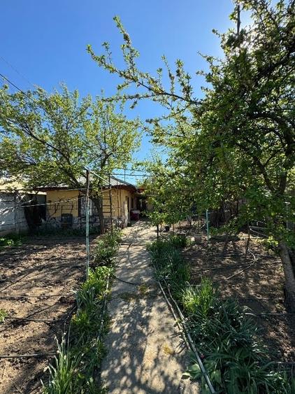 Casa cu teren 360mp sector3 P.O.T 60% Rate/Schimb/Inchiriere - 6