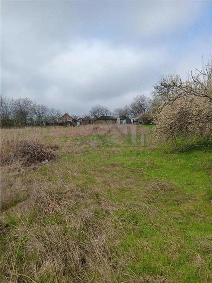 Aroneanu - Dorobant TEREN 46000mp PUZ realizat 59 de case la str principala cu toate utilitatile - 2