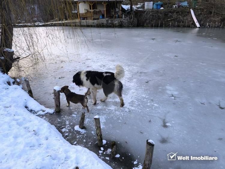 Casa de vacanta, cu lac, 5640 mp teren, Huta, com. Chiuiesti, jud. Cluj - 53