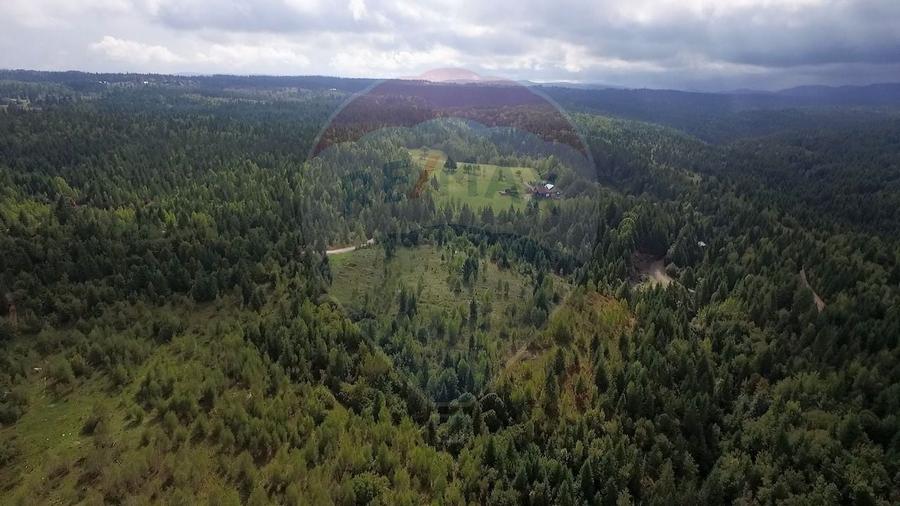 Teren extravilan parcelabil Călățele Pădure, zona Dealu Negru - 11