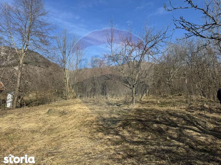 Casa din piatra la poalele Bedeleului Izvoarele, Alba - 16