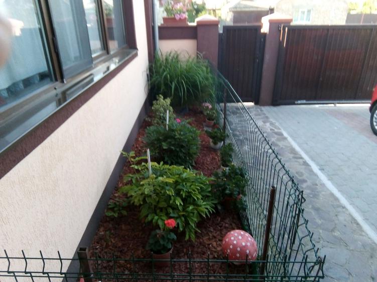 Vand Casa Deosebita cu Gradina Matura si Intimitate Totala (25 km de Timisoara) - 4