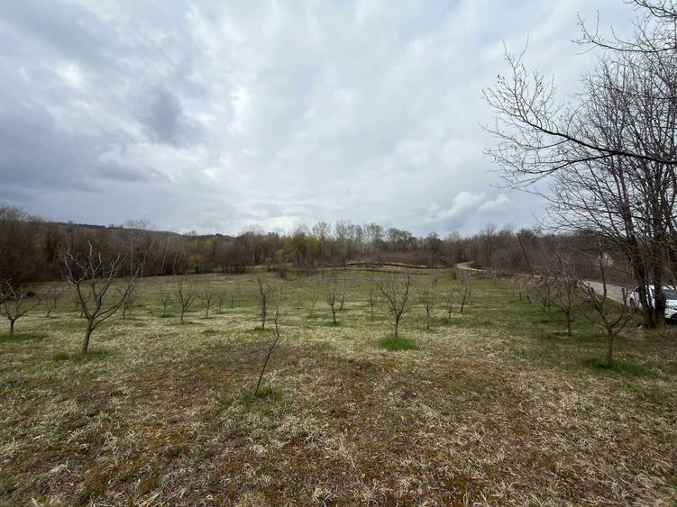 Teren / gradina de vanzare in Barbuletu, judetul Dambovita 8055 mp - 3