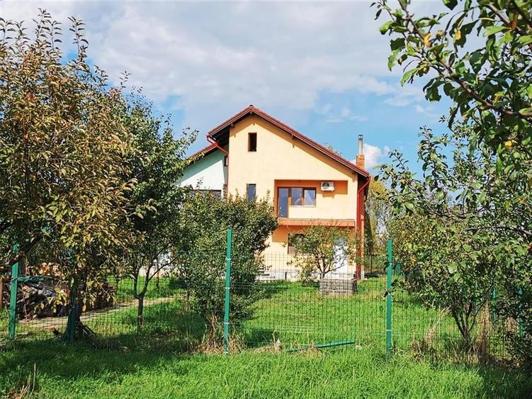 Vila Deosebita Rudicica - 8