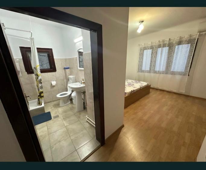 Apartament în vilă Ultra-Central - Piața Unirii - kilometrul 0 - 7