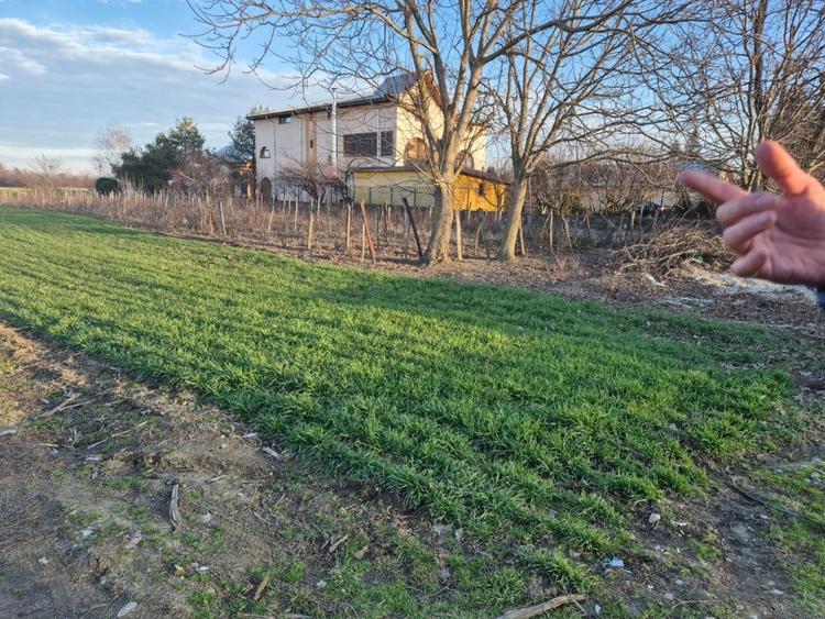 Tandava vand teren in cu deschidere la padure (Gradinari, Giurgiu) - 4