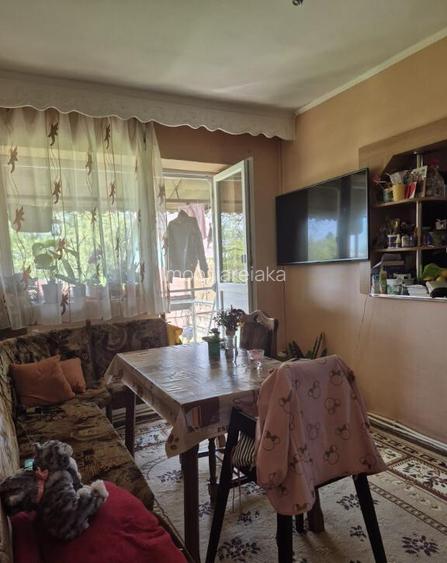 Baia Sprie, casa cu etaj ,10 ari teren