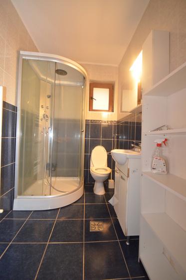 Casa individuala de inchiriat - 5