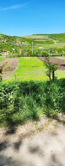 Vând 1200m teren intravilan și 1700m teren extravilan în Comuna Căianu, jud. Clu - 7