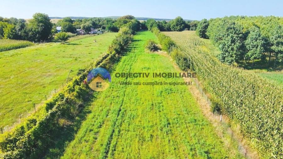 TEREN intravilan  6764 mp DRAGOMIRESTI - VAD - 6