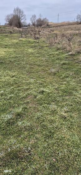 Teren extravilan plus luciu de apa - 1