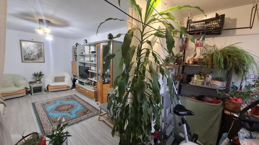 Piata Minis - Barajul Rovinari - 6