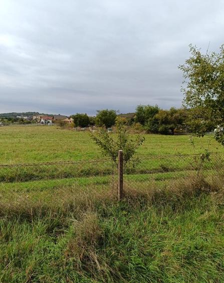 Teren intravilan 8000 mp , DR.D.Vechi - 3