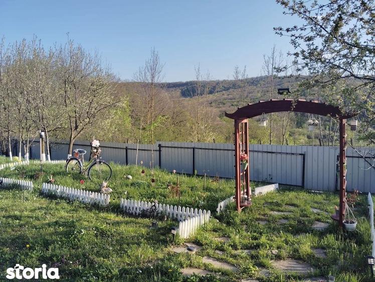 De vanzare casa ?i teren cu o suprafata de 13000 mp, 52.000 euro - 8