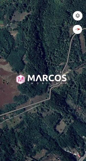 Teren Drumul Lupacului, ID 913 - 3