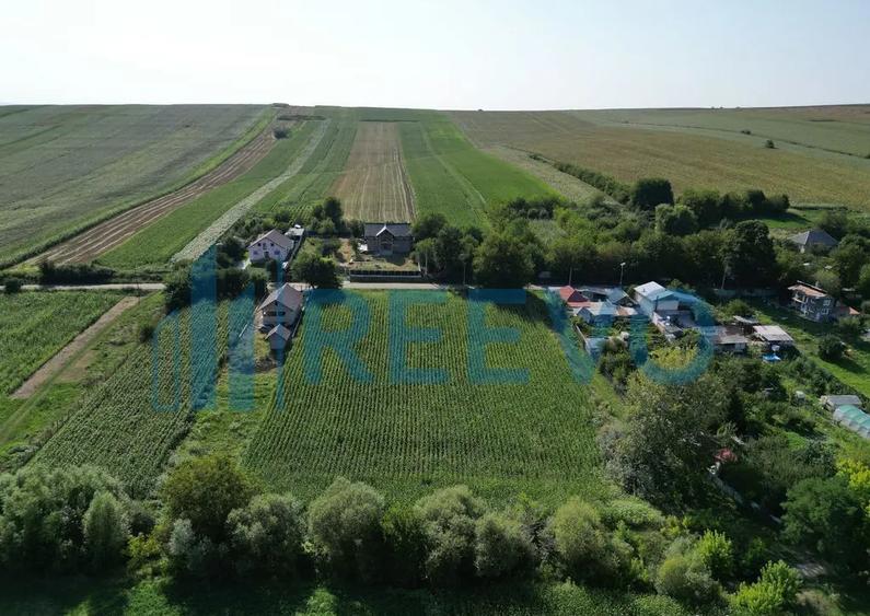 Teren intravilan de vanzare, Sat Bogdan?ti, Com. Traian - 7