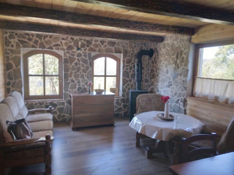 Vand casa la munte, in Dulcele, com. Gurahont, jud. Arad - 3