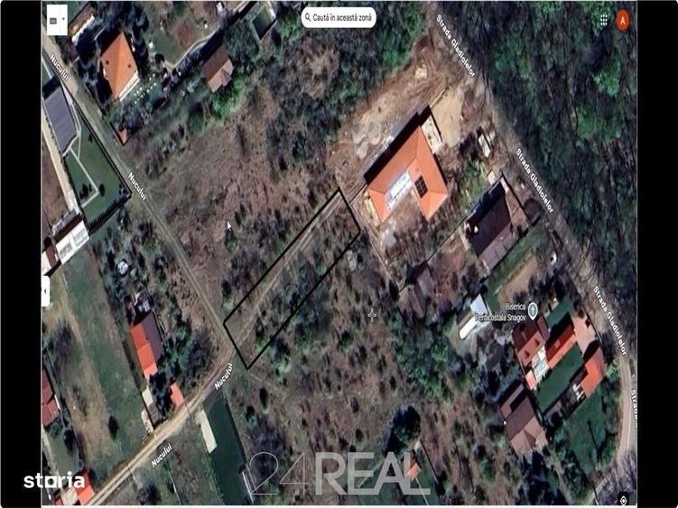 Teren de vanzare in Snagov - 981 mp - 2