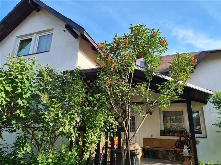 Casa cu Teren Buciumi 7  km de Onesti cu teren 1800 mp - 5