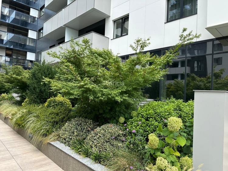Spatiu comercial Cortina North 477MP