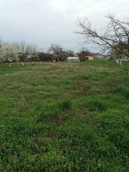 Vand teren intravilan - 3