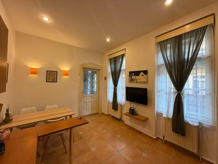 Apartament deosebit in palat istoric - 10