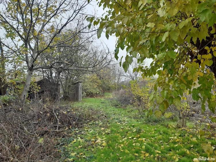 Vand casa si teren=2024mp+6400mp teren extravilan - 4