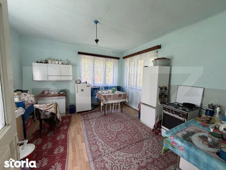 Casa cu 3 camere si un teren de 5000 mp - 9