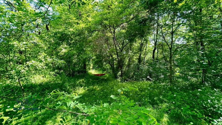 Casa Vacanta Babana! - 7