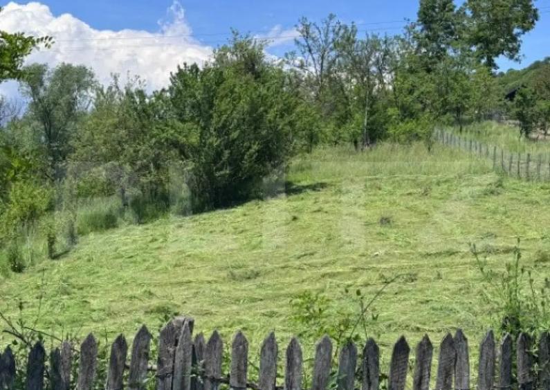 Teren intravilan, deschidere la drum Bezdead, Dambovi? - 2