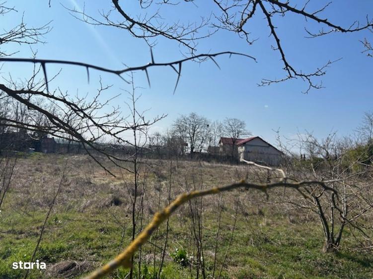 Vadu Corbu Teren superb 1000 mp investitie sau casa de vacanta - 9