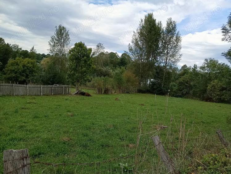 Vand teren intravilan 2300 m2, Breaza, Prahova - 4