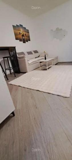 Inchiriez ap.decomandat cu o camera in Zona Iosefin, parter, suprafata utila de 35 mp. - 3