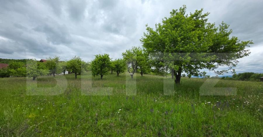 Teren intravilan, 34 ari intravilan, zona Unirea - 3