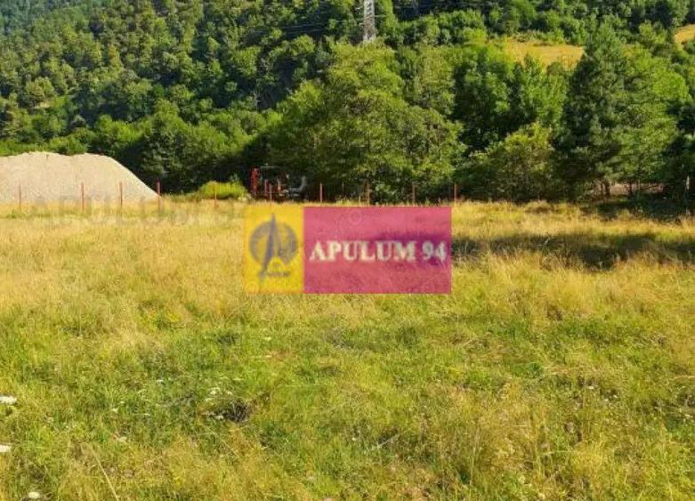 Teren Jude?ul Valcea - Brezoi, Valea lui Stan - 12