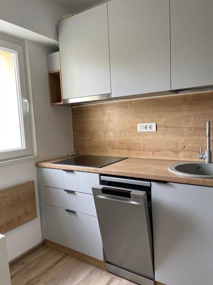 Inchiriere garsoniera vis-a-vis de Parcul Circului - 4