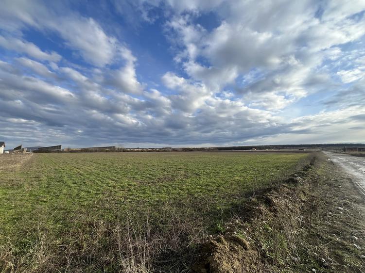 Oportunitate investitionala sau teren pretabil pentru constructii - 5