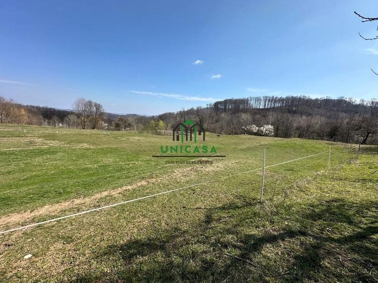 Teren Govora / 8131mp - 6