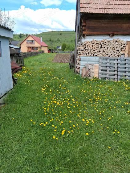 Casa de vanzare - municipiul Toplita, Judet Harghita - 6