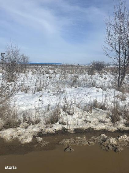 TEREN IDEAL PENTRU CASA VISURILOR TALE - 6