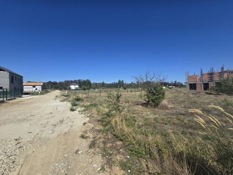 Gulia, Tartasesti, Eden Forest Residence,Samurcasi - 12