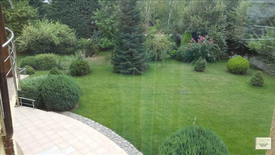 Proprietate impresionanta Padurea Baneasa - Iancu Nicolae - 4