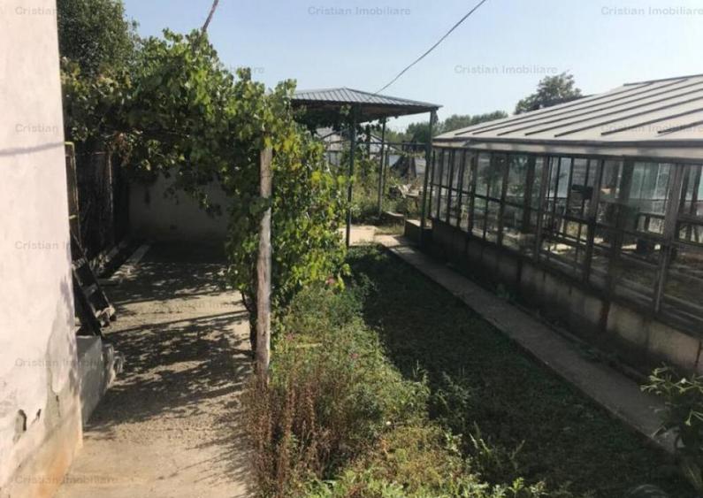 Casa 4 camere 250mp util Varsatura, 1000mp teren - 12