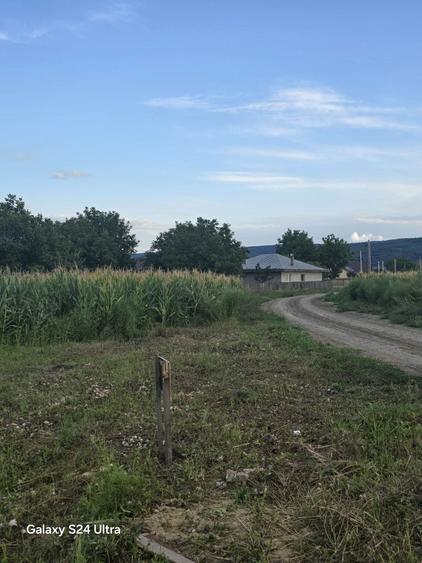 Teren de vanzare - Dancu - Holboca - 3