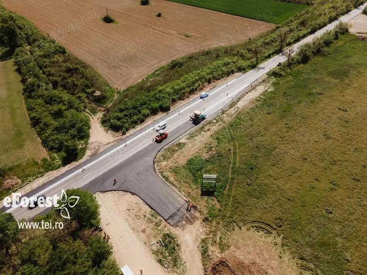 eForest teren rezidential in zona de padure, deschidere spre padure - 2