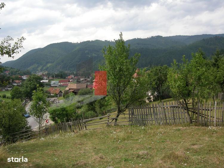 Teren intravilan 3214 mp in Rucar cu deschidere 56 m in DN73 - 3